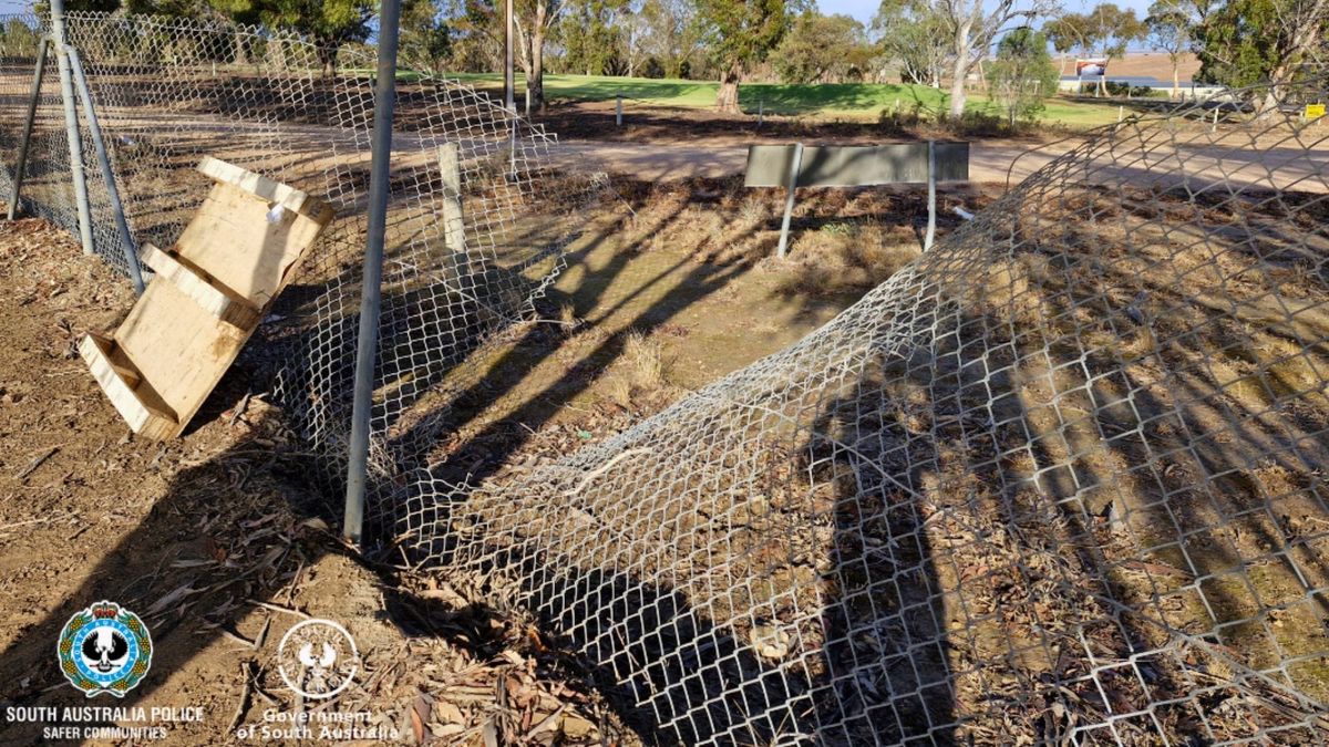 Mannum oval thieves caught