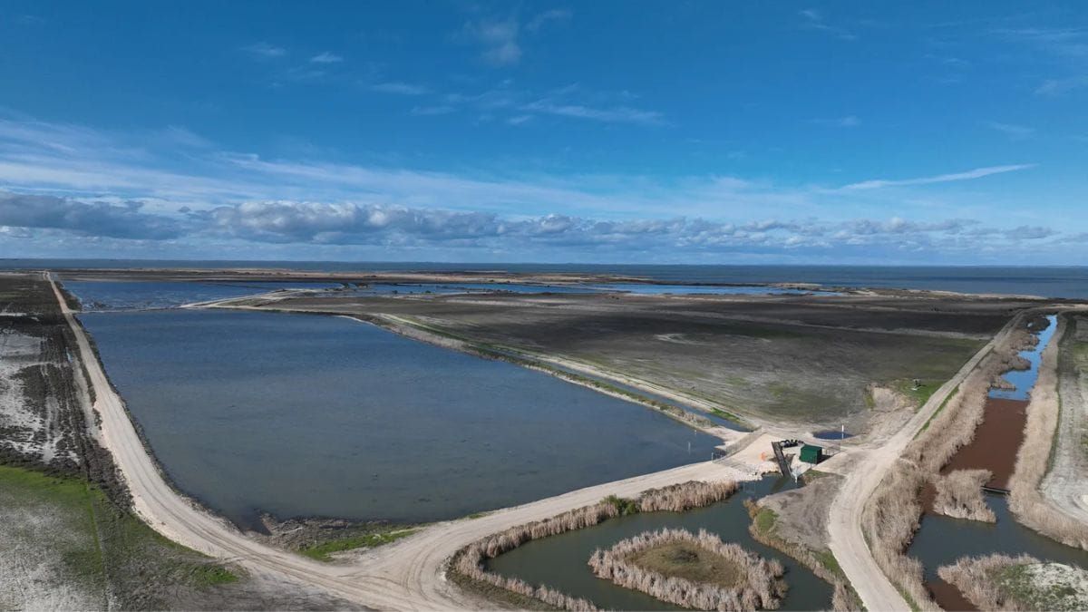 Popular wetlands reopen after $7.6 million upgrade