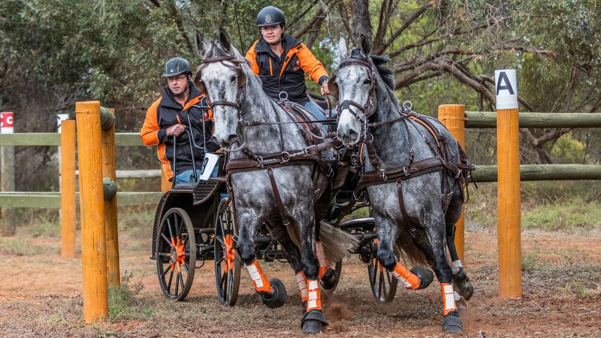 Carriage driving state championships will be at Monarto this weekend