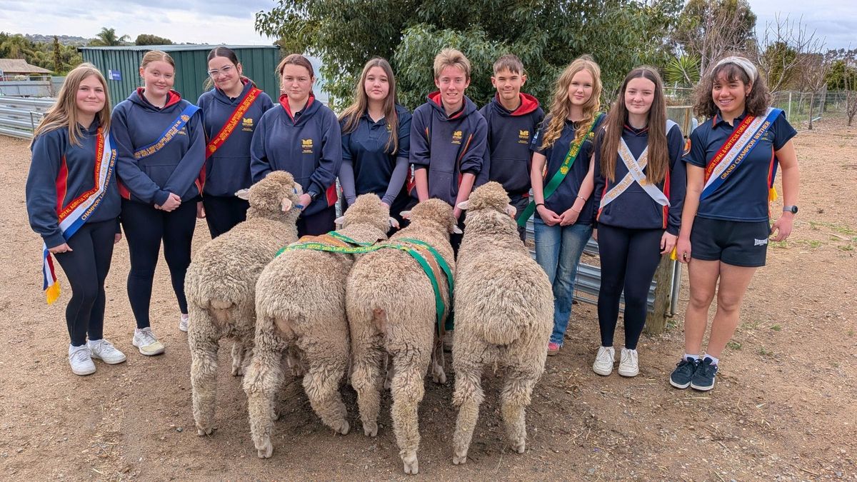 Murray Bridge agriculture students win at the Royal Adelaide Show