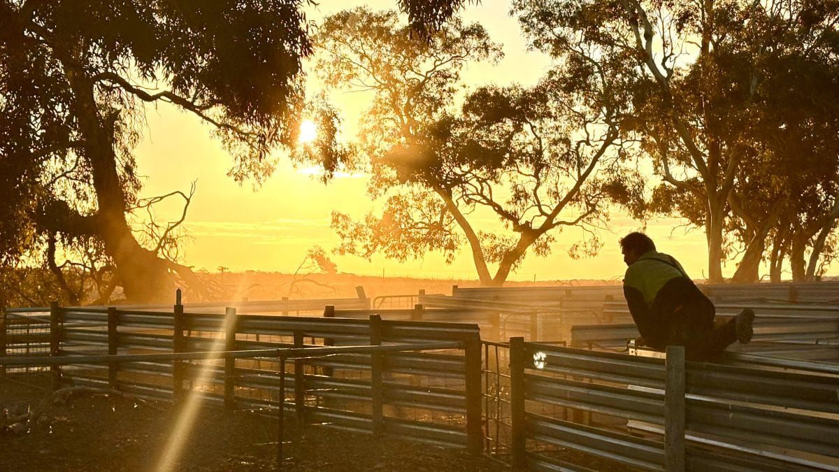 Coorong council will continue drought relief, despite concerns