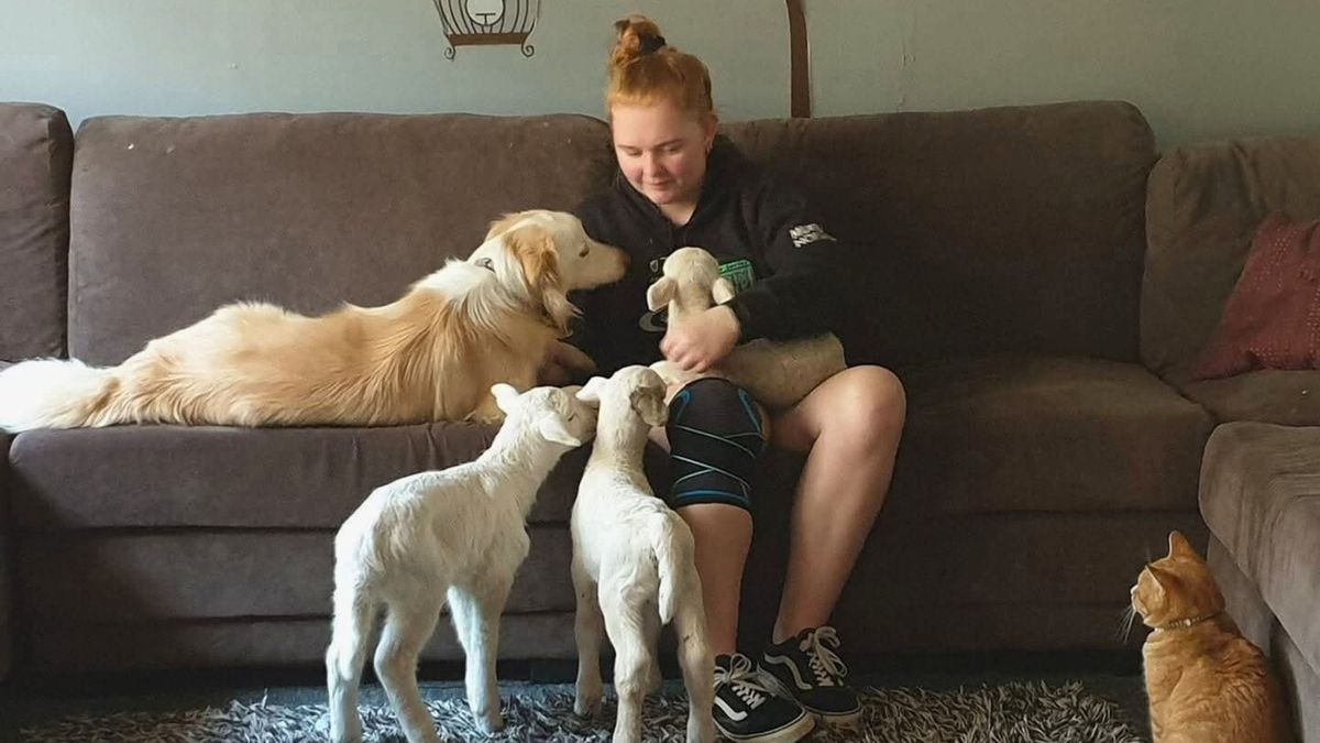 Fundraiser launched for Murray Bridge woman killed in crash