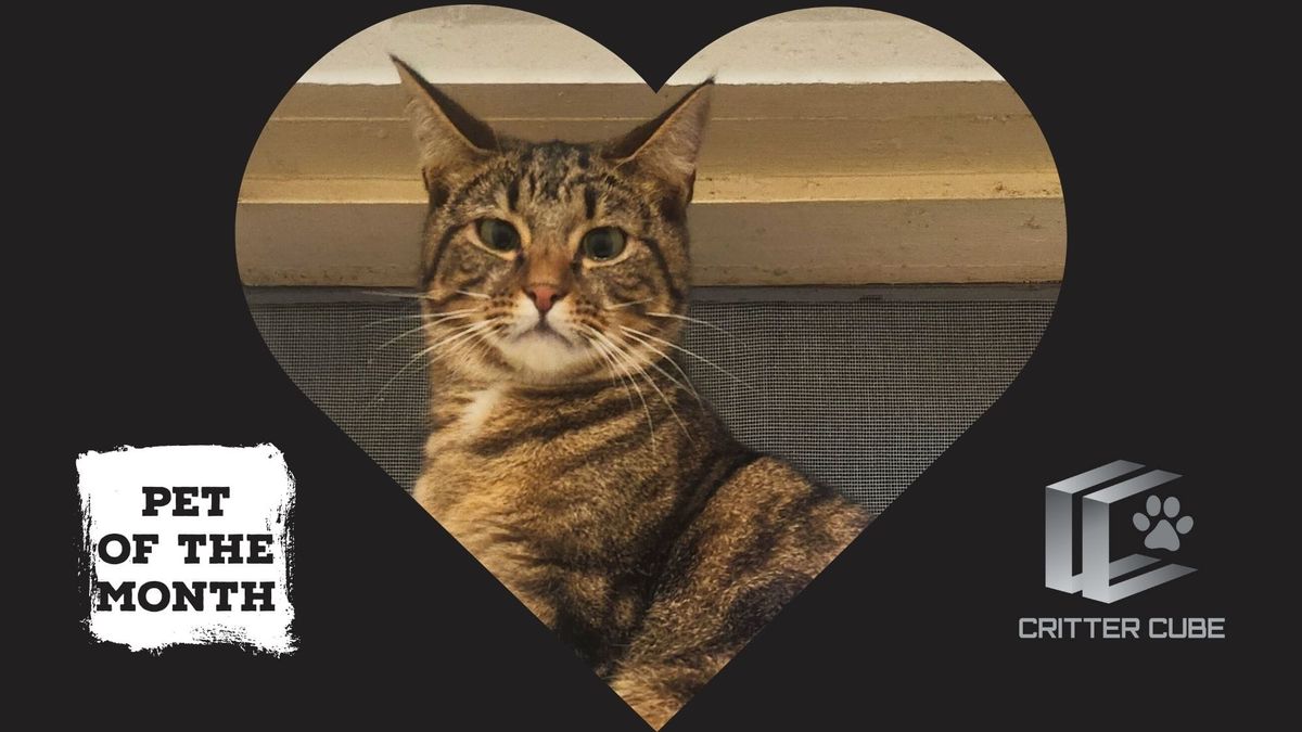 Pet of the month: September 2025