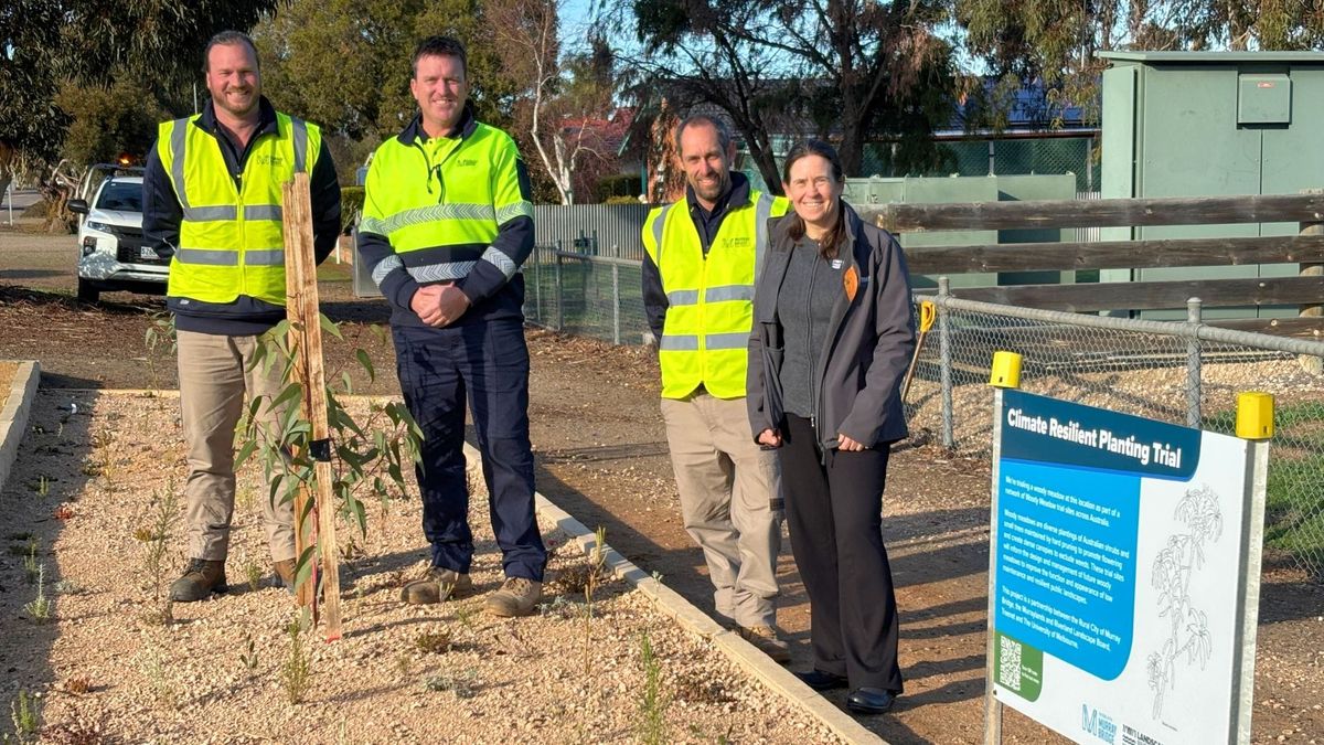 Can these trees and shrubs help Murray Bridge adapt to climate change?