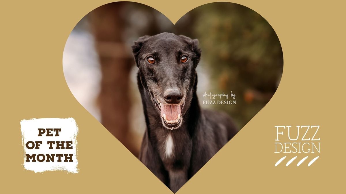 Pet of the month: October 2025