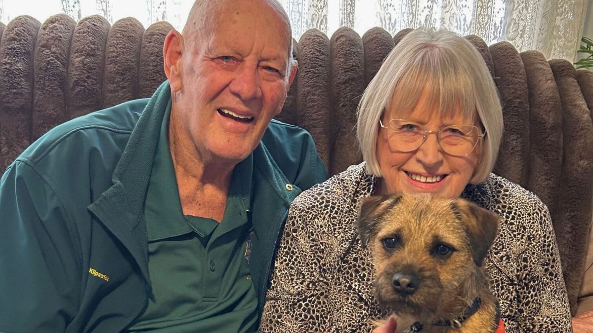 For little hearing assistance dog Ollie, no task is too big