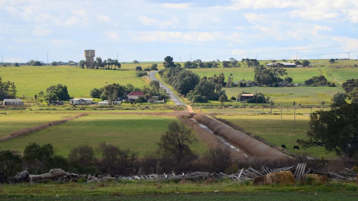 Murraylands council watch: December 2025