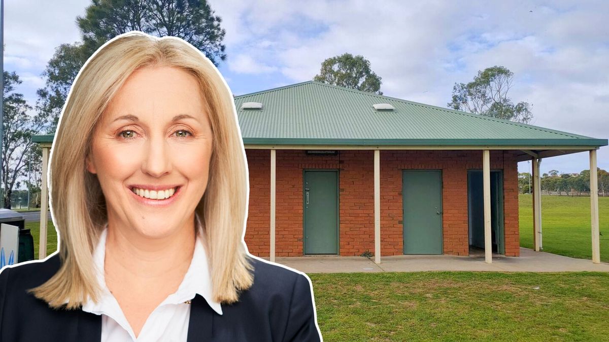 Public toilets need a wee bit of investment, councillors say