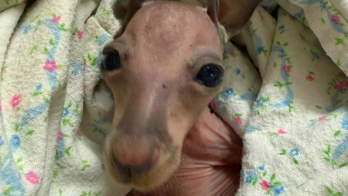 Wildlife SA joins community dollars initiative