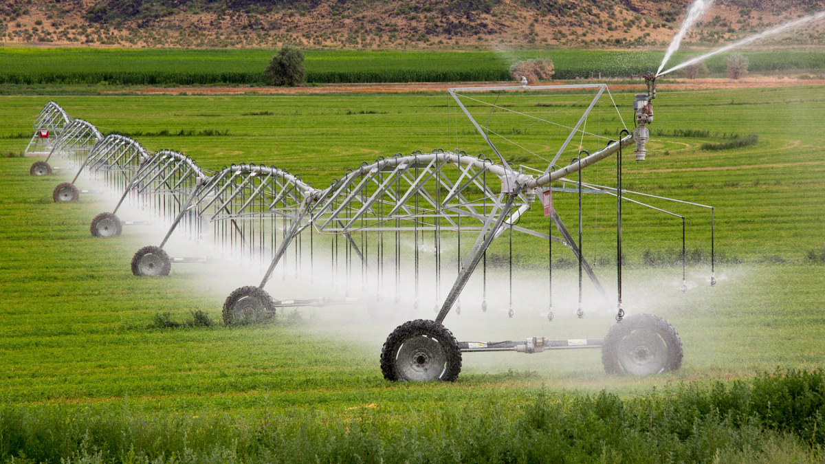 Drought will mean less water for River Murray irrigators in 2026-27