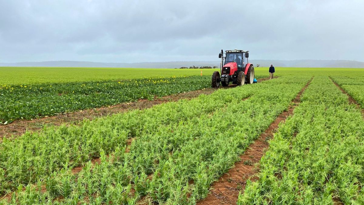 Six Murraylands towns nominated for SA’s Ag Town of the Year Award