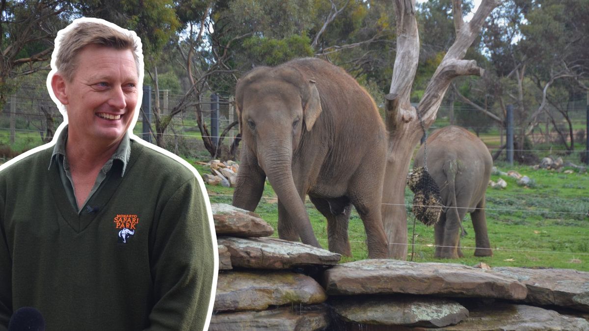 Elephants of Asia precinct opens at Monarto Safari Park