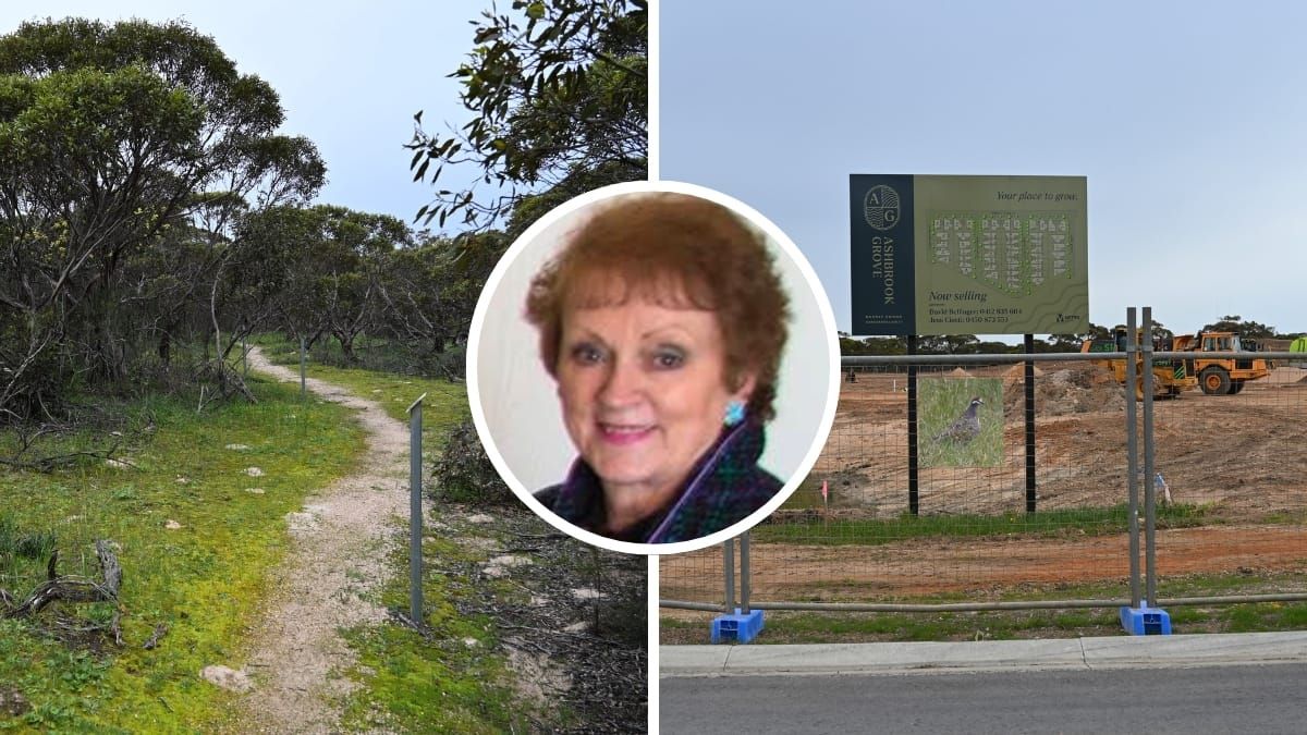 Dorset Street Reserve is safe, despite housing development, council promises