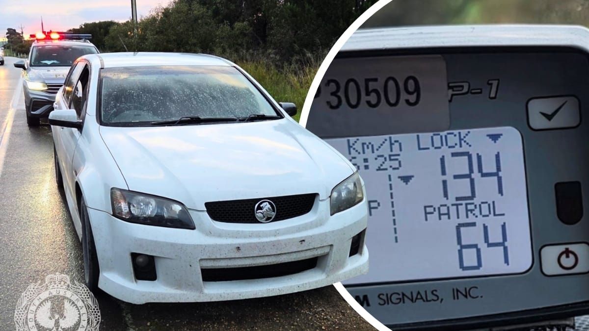 Callington P-plater done for speeding
