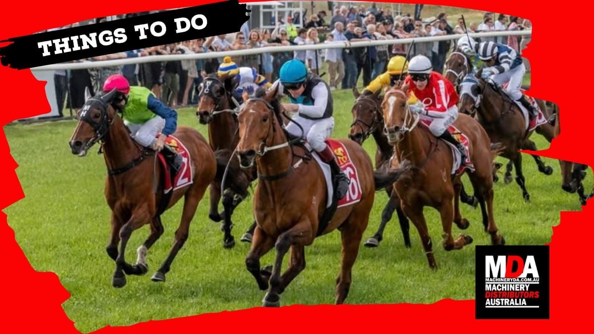 Things to do in the Murraylands: Oct 2-8, 2026