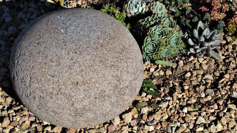 Life Through the Lens: The Easter stone