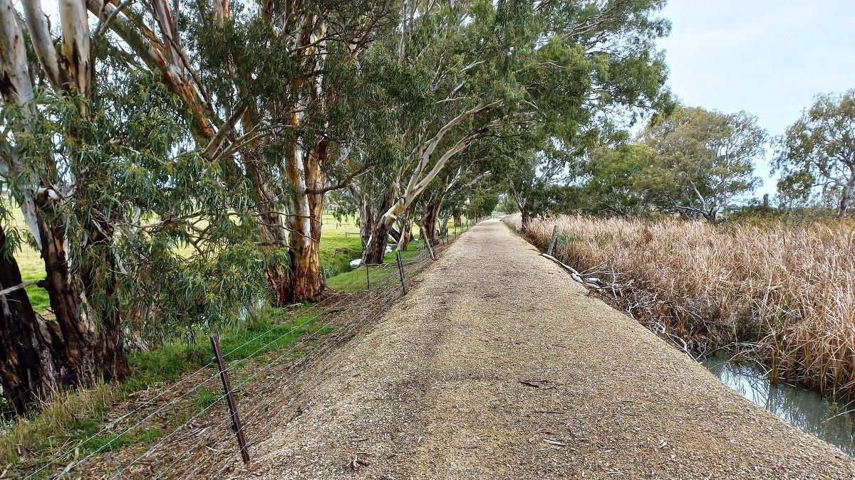 Ride of the month: Thiele Reserve to Swanport Wetland