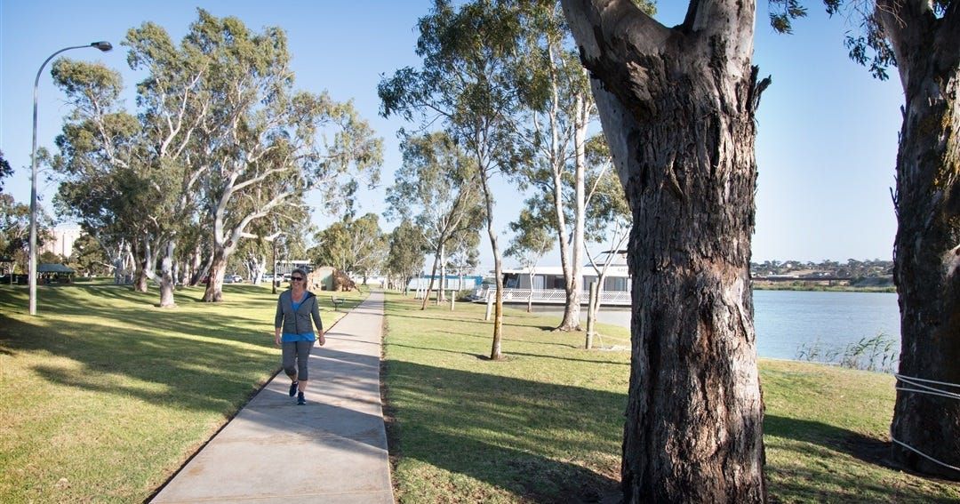 Climate change plan calls for more trees, electric vehicles