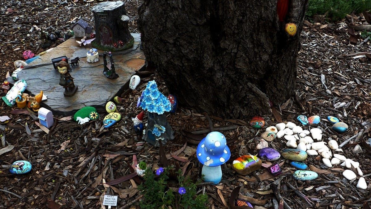 Life Through the Lens: Joy to this little corner of the world