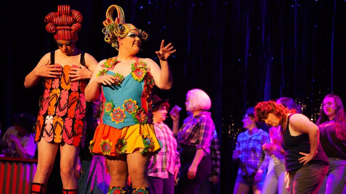 Priscilla review: Frock stars shine in Players and Singers' latest musical