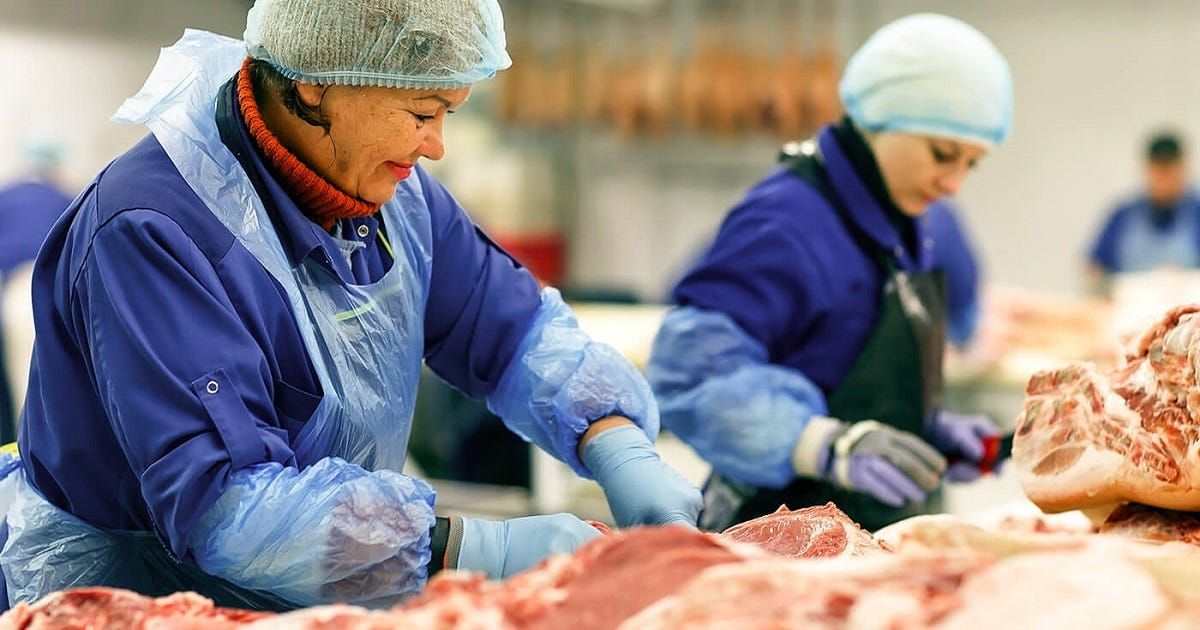 Thomas Foods International rebuild to start within weeks