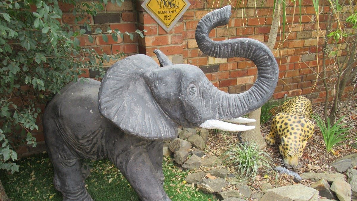 See Elephants' Rest, the African garden gallery at Callington