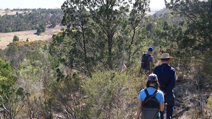 Things to do in Murray Bridge: May 14-20, 2021