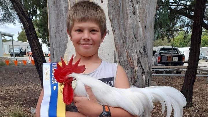 Murray Bridge Show will return this Saturday