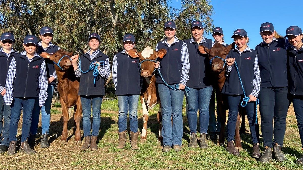 Young handlers, judges shine at Unity College agricultural show