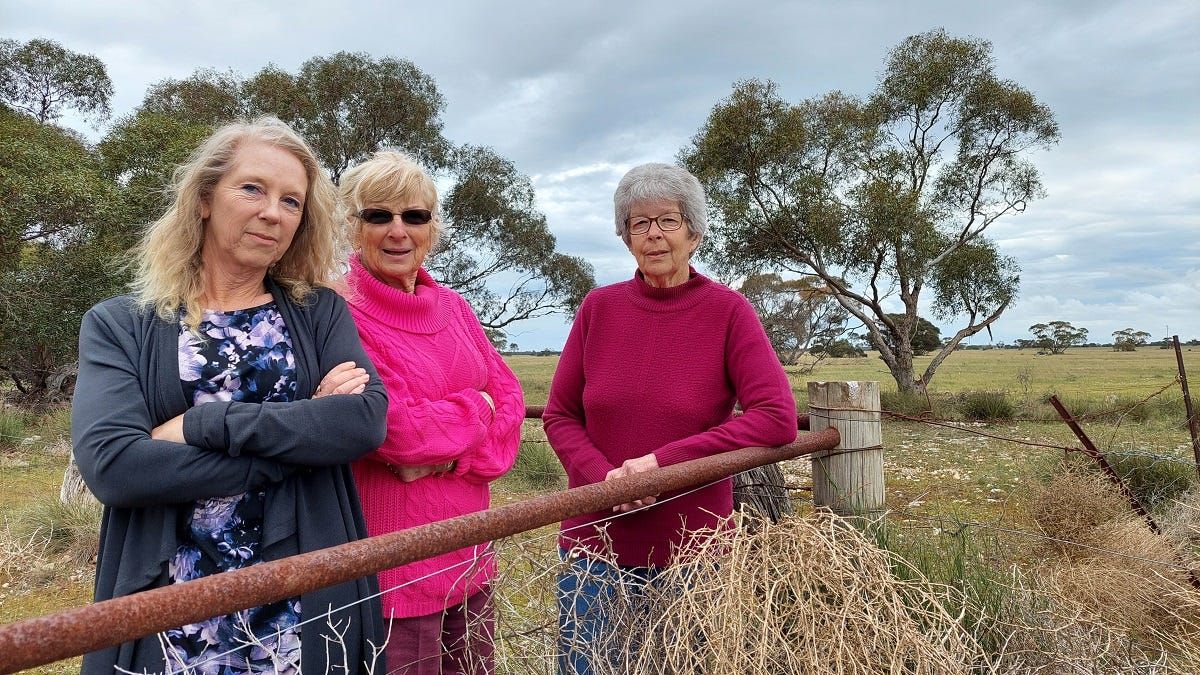 Neighbours’ objections fail to stop new Tailem Bend solar farm