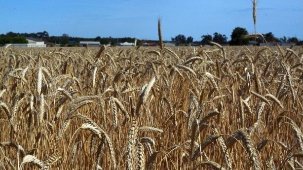 Life Through the Lens: It's about seasons