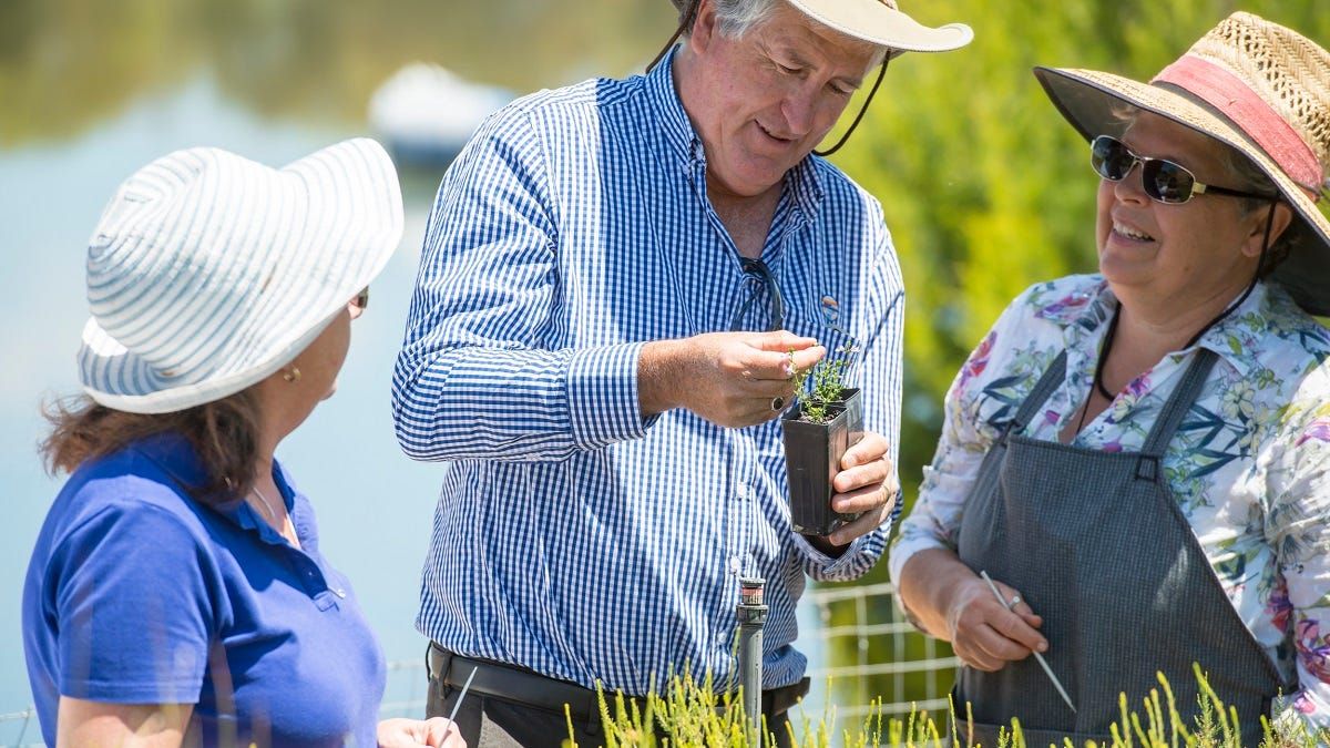 Help the environment – plant a tree at Rocky Gully