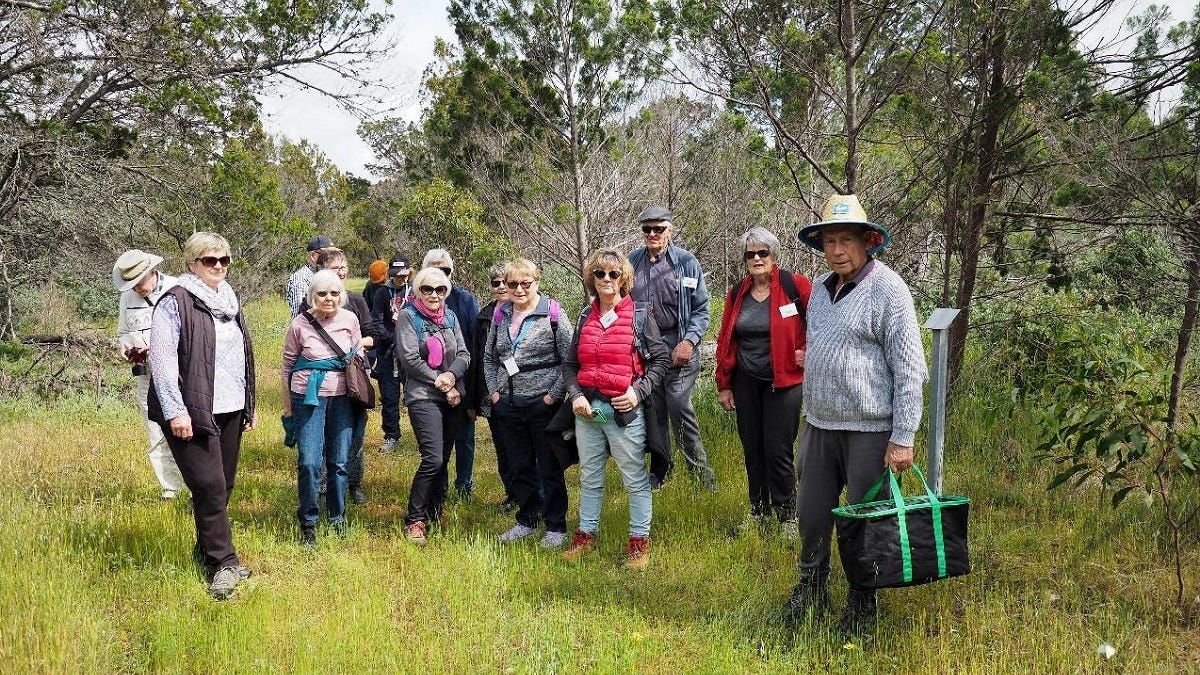 Walk of the month: Morphett Reserve, Woods Point