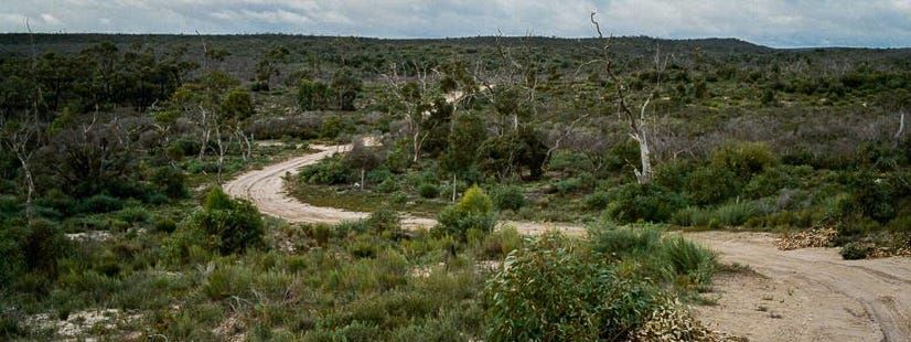 Prescribed burn planned at Ngarkat