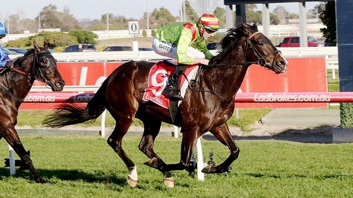 Things to do in Murray Bridge: October 15-21, 2021