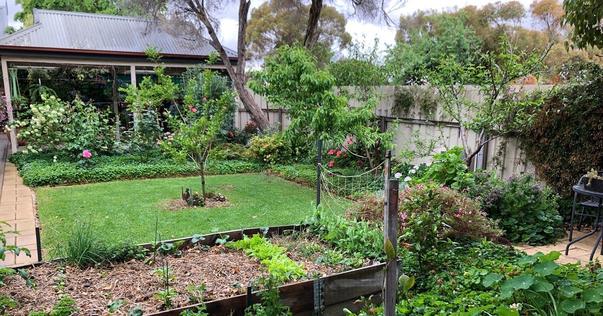 Spring garden competition opens for 2020