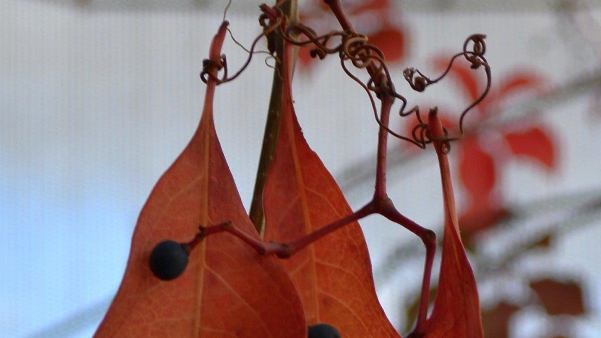 Life Through the Lens: On holding on