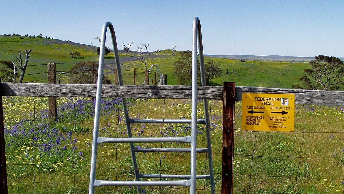 Walk of the Month: Mount Beevor, Tungkillo