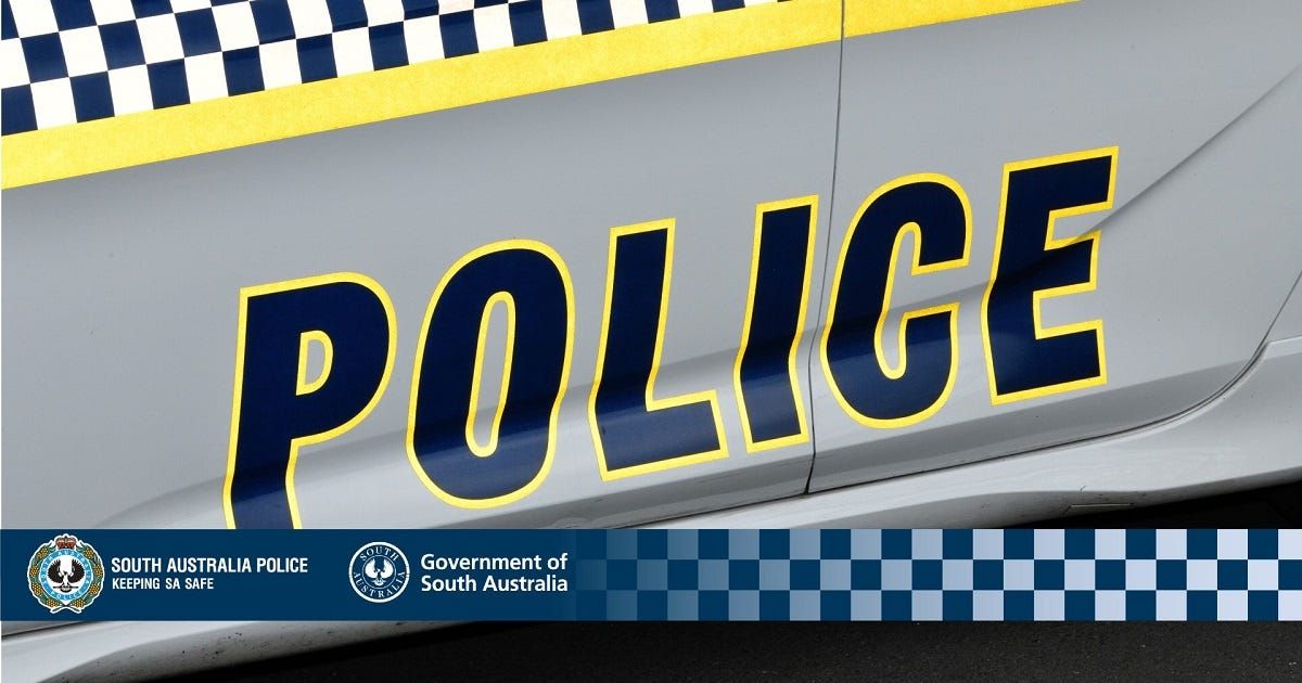 Play by the rules, police warn after stopping driver with unsecured swing set