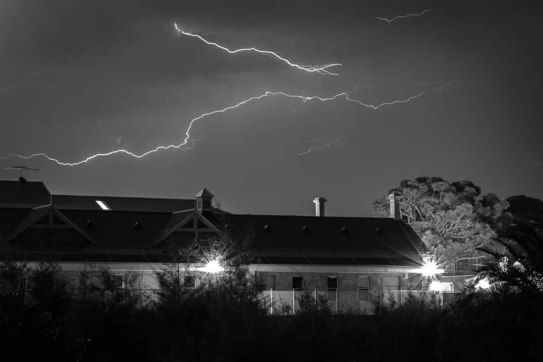 Lockdown Interactive Day 3: Get Snapping