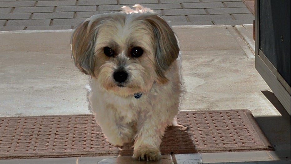 Life Through the Lens: You are welcome, just like Mr Pants of Bookpurnong