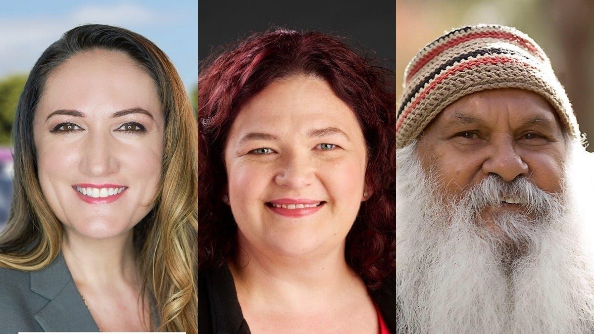 Lisa Sherry, Belinda Owens, Moogy Sumner launch Senate tilts