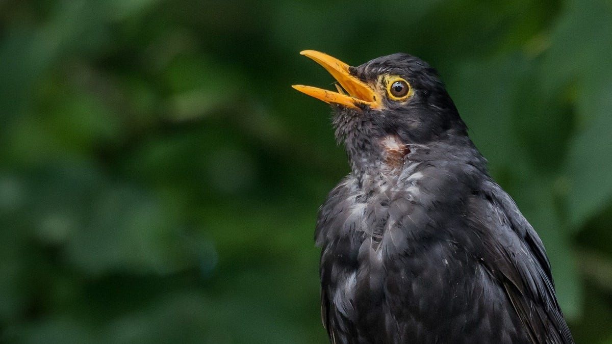 Life Through the Lens: A new dawn