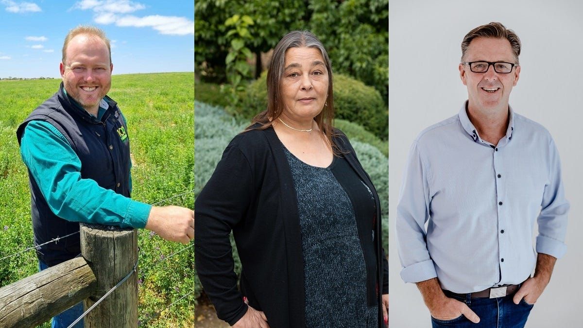 Meet the minor-party candidates hoping to shape the election campaign in Barker