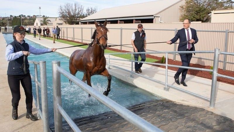 Racing club will get equine pool, new stables in $6 million expansion