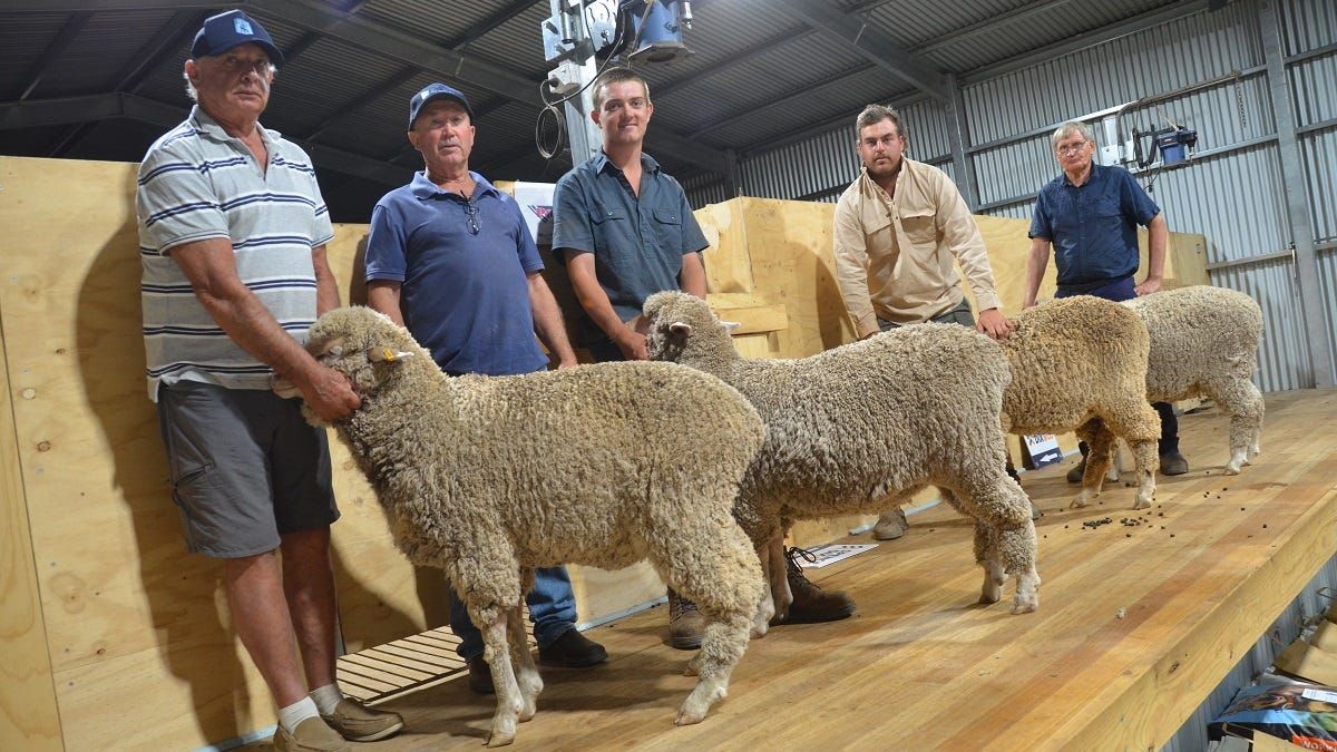Top sheep producers earn baa-ragging rights at Monarto Ag Bureau hogget competition