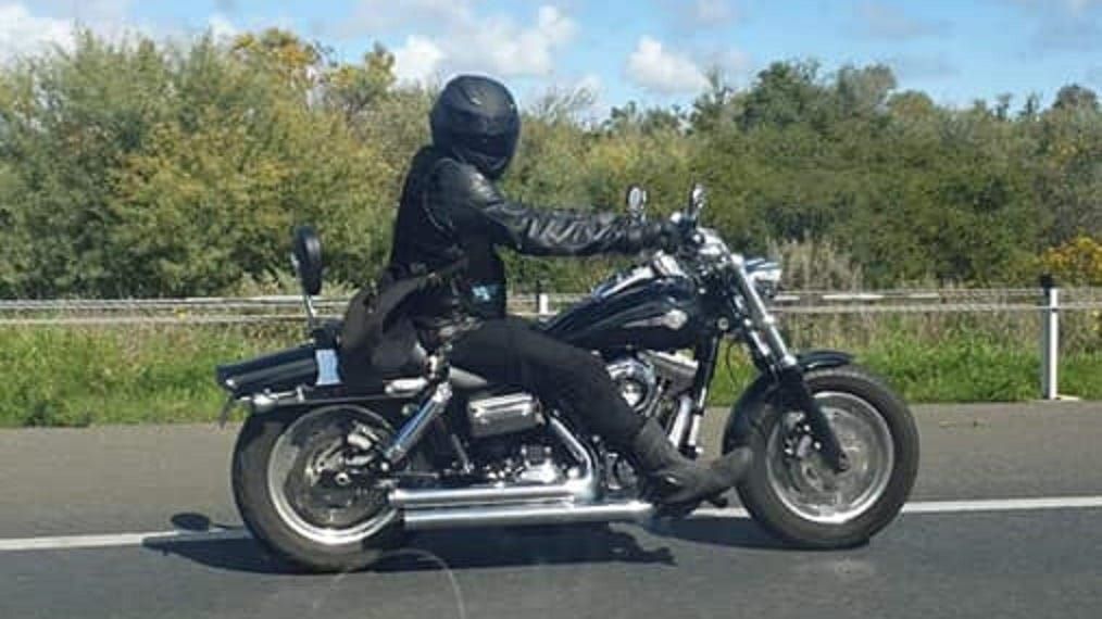 What's on this week: November 27-December 3, 2020