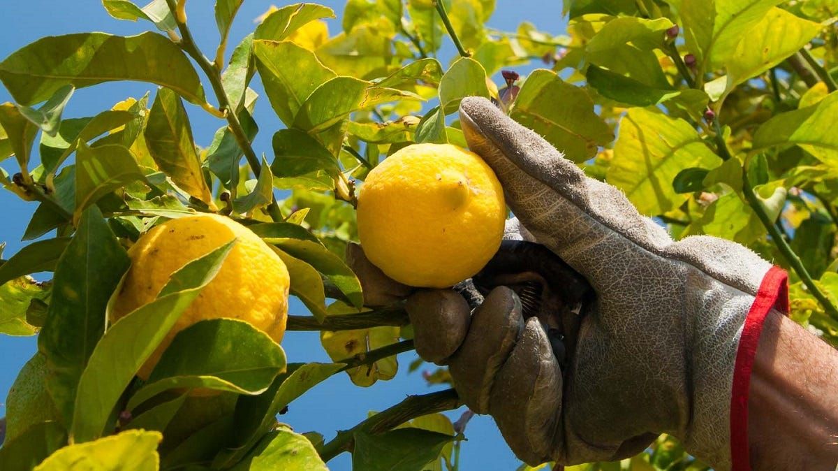 Regional Development Australia aims to find jobs for 1700 unemployed locals