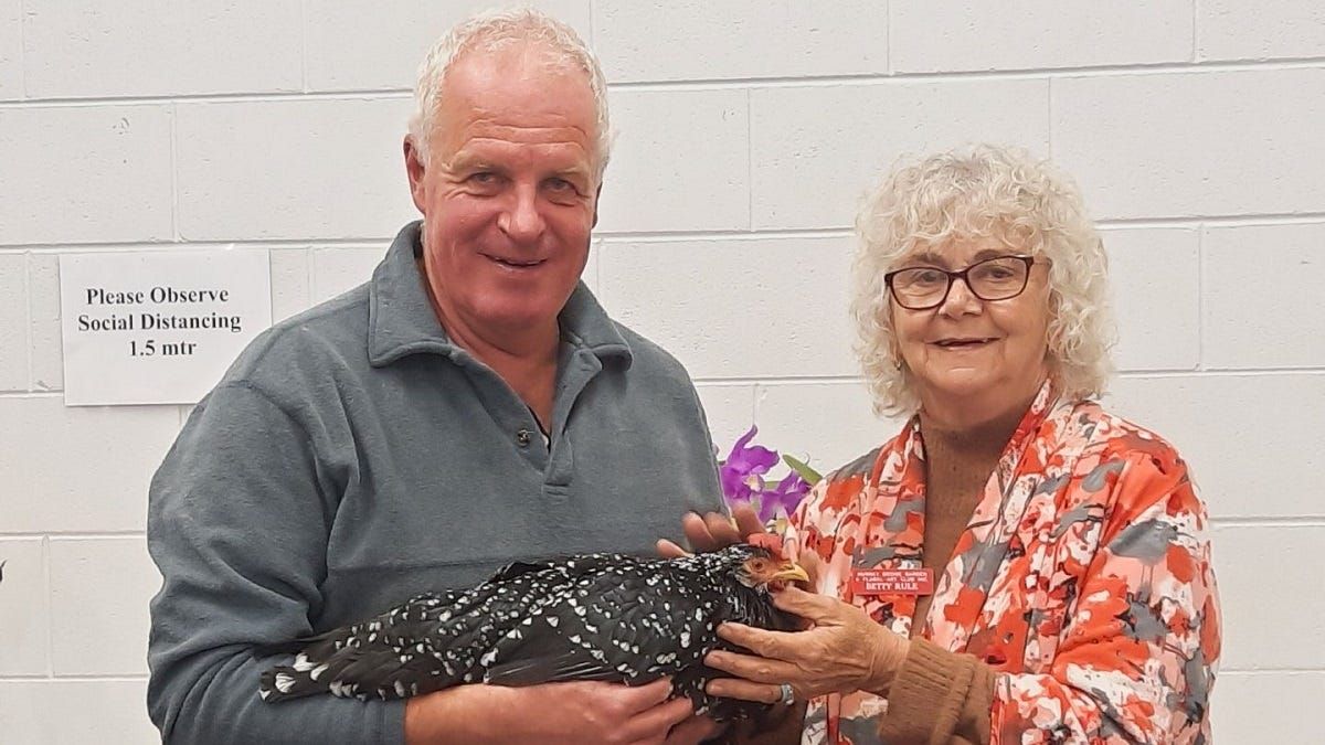 How to keep chickens: Rex Liebelt's guide