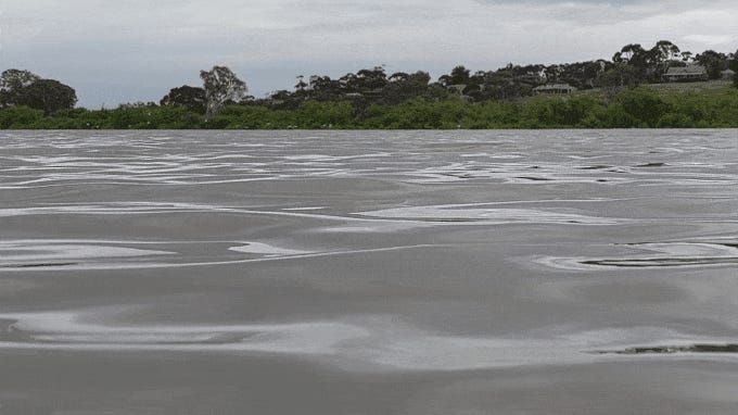 What will the River Murray look like by 2100?